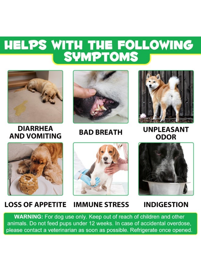 Oimmal 60Pcs Probiotics for Dogs 132G, Pre & Probiotic Digestive Treats for Dog with Pumpkin and Flaxseed Powder Support Gut Health, Itchy Ears, Dog Probiotics Treats for All Dogs 60 Soft Chews / Duck Flavor - Image 5