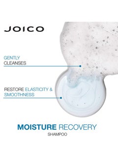 Moisture Recovery Moisturizing Shampoo ; For Thick Coarse Dry Hair ; Restore Moisture Smoothness Strength & Elasticity ; Reduce Breakage ; With Jojoba Oil & Shea Butter ; 10.1 Fl Oz - pzsku/Z91DE229EBEE48F529EB2Z/45/_/1696662676/e3579680-8890-4622-8cc8-ca80d2f6aef6