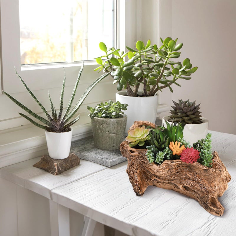 Tebery Artificial Driftwood Stump Log Planter Vintage Cactus Container with Drainage Hole, Creative Imitation Sculpture Resin Succulent Flower Pot for Herb, Strawberry, Small Plants - Image 4
