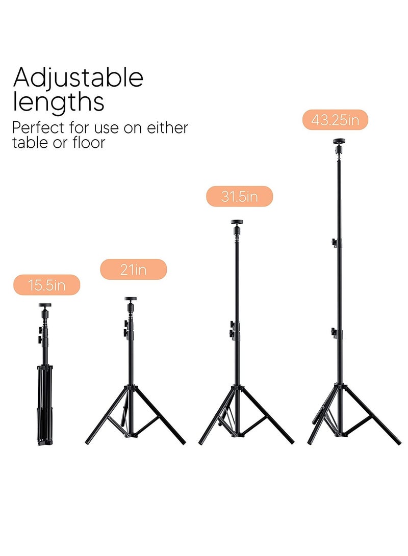 JOMILA 10 inch Selfie Ring Light With Phone Holder Tripod Stand for iPhone  Android Great for Live Stream Makeup Beauty Tiktok YouTube Video Recording Studio Photography Lighting - Image 4