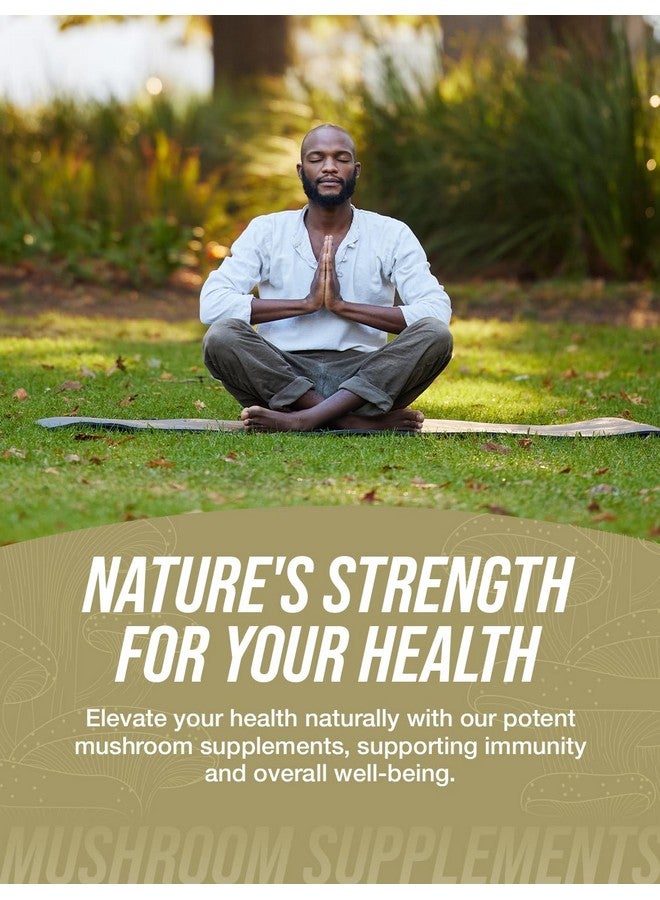 BulkSupplements مستخلص فطر ترميلا من BulkSupplements.com - مستخلص ترميلا فوسيفورميس، مكمل فطري - نباتي وخالي من الغلوتين، 1 جرام لكل حصة، 500 جرام (1.1 رطل) (عبوة واحدة) - Image 3