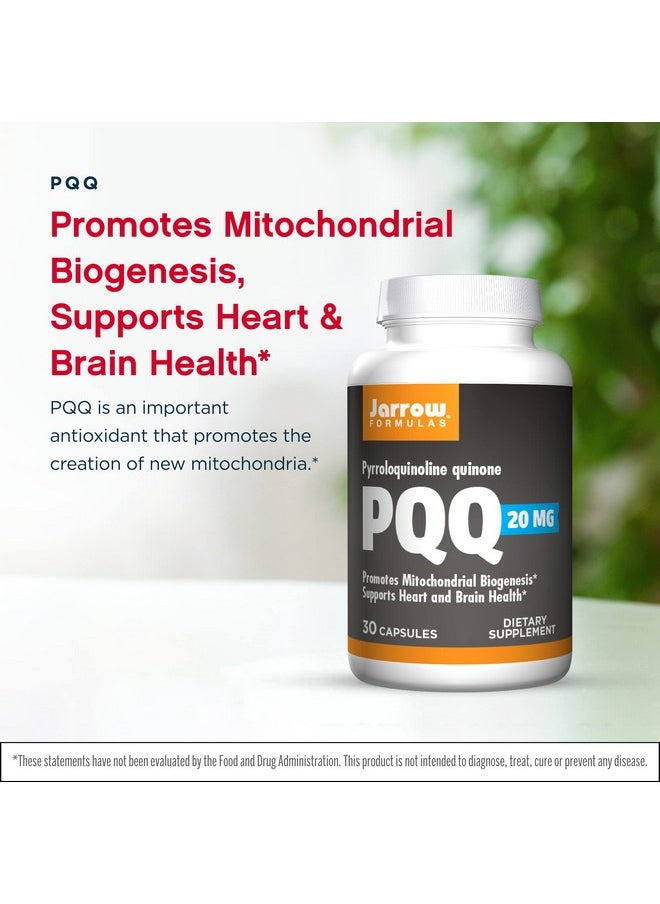 jarrow formulas Pqq 20 Mg 30 Capsules Promotes Mitochondrial Biogenesis Supports Heart & Brain Health 30 Servings  - Image 5