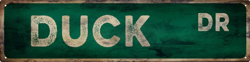 QIXFGUL Vintage Tin Sign Retro Metal Duck DR Signs Stylish Wall Art Plaques for Home Decor Bathroom Kitchen House and Gothic Wall Decor or as a Unique Poster 16x4 in - Image 1