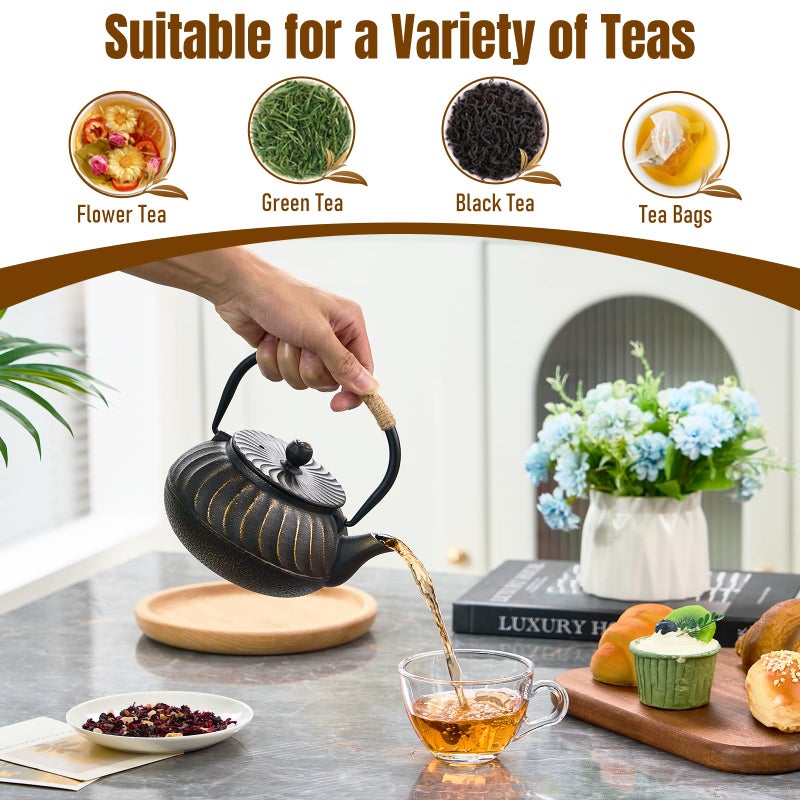 PARACITY Cast Iron Teapot Japanese 700ml/23oz, Tea Kettle Pot for Stove Top, Tea Pot with Stainless Steel Infusers for Loose Tea, Boiling Hot Water Tea, Mothers Day Gifts from Daughter/Son - Image 4