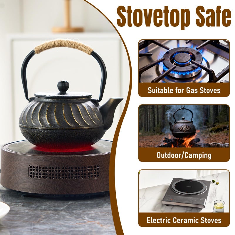 PARACITY Cast Iron Teapot Japanese 700ml/23oz, Tea Kettle Pot for Stove Top, Tea Pot with Stainless Steel Infusers for Loose Tea, Boiling Hot Water Tea, Mothers Day Gifts from Daughter/Son - Image 5