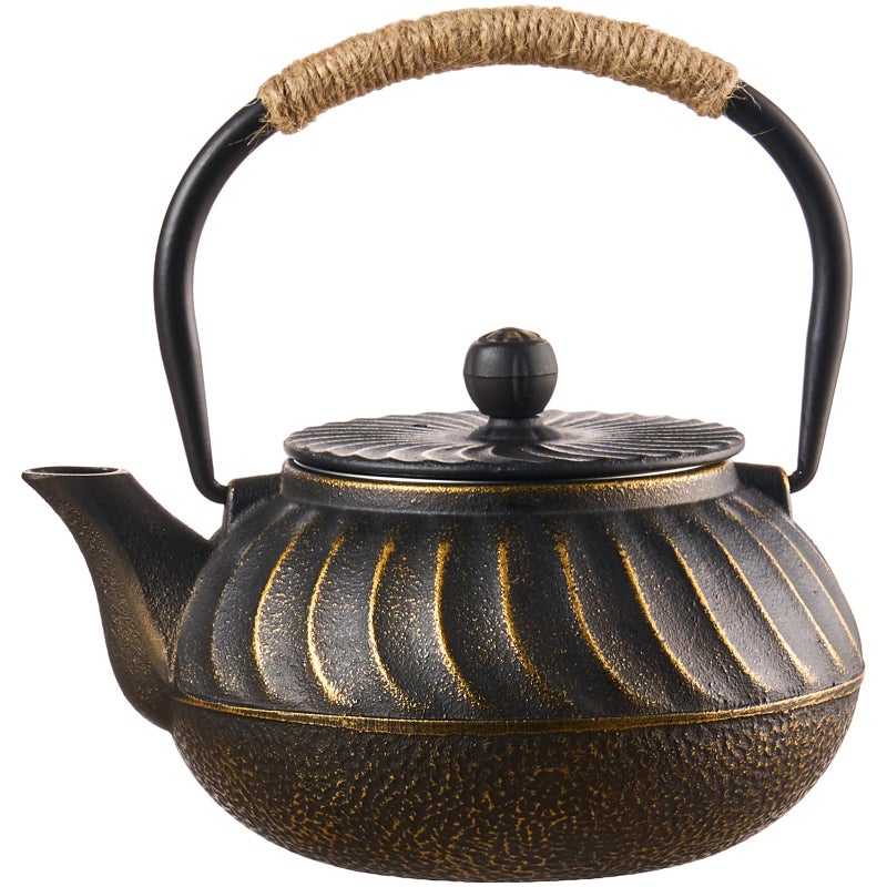 PARACITY Cast Iron Teapot Japanese 700ml/23oz, Tea Kettle Pot for Stove Top, Tea Pot with Stainless Steel Infusers for Loose Tea, Boiling Hot Water Tea, Mothers Day Gifts from Daughter/Son - Image 1