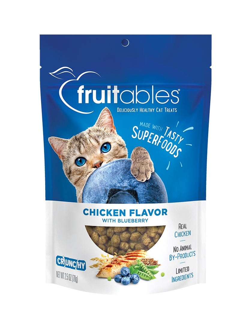 Fruitables Chicken Flavor with Blueberry Cat Treats 70g - Image 1