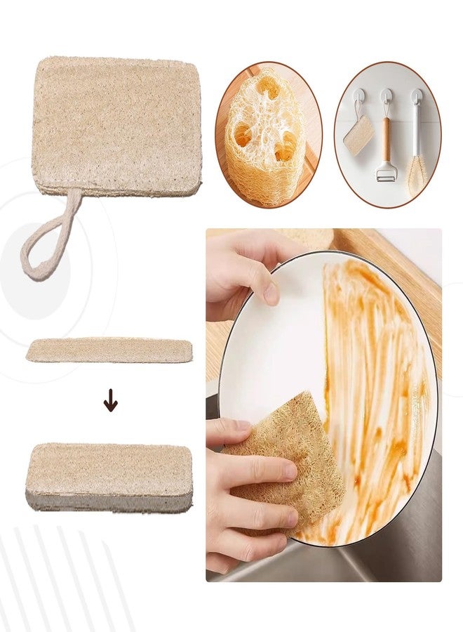 Haploon 7 Piece Wooden Dish Brush Natural,Bamboo Brush Kitchen Set Dish Cleaning Brush Pot Brush & Bottle Cleaner Beech Wood & Natural Bristles Bamboo Scrub Brush for Dishes Plastic Free - Image 5