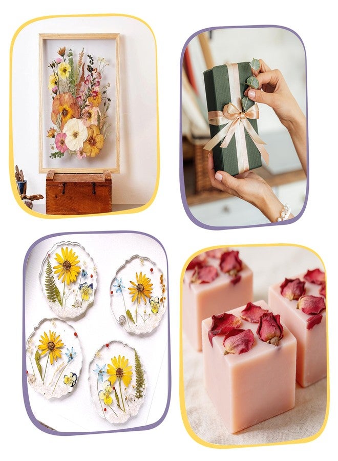 SouStoCol Flower Press, Extra Large Flower Press Kit - 11"x11" 10 Layers Flower Pressing Kit for Pressed Flowers, Plant Flower Preservation Kit for Bookmarks, DIY Craft Art, Flowers Drying - Image 3