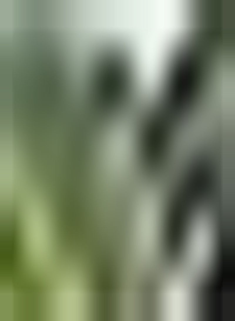 GGOOT Geranium pyrenaicum Hedgerow Crane's Bill, Approx 100 Seeds, Wild Flower - Image 1