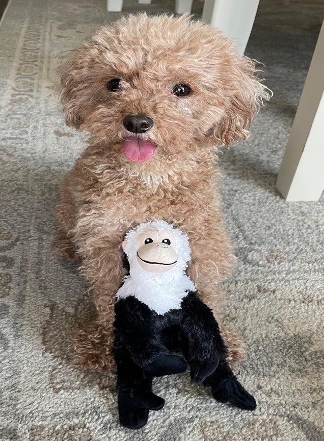 Glory To Dog لعبة القرد القطيفة والصوتية من Glory To Dog Buddy's للكلاب الصغيرة والمتوسطة الحجم - Image 4