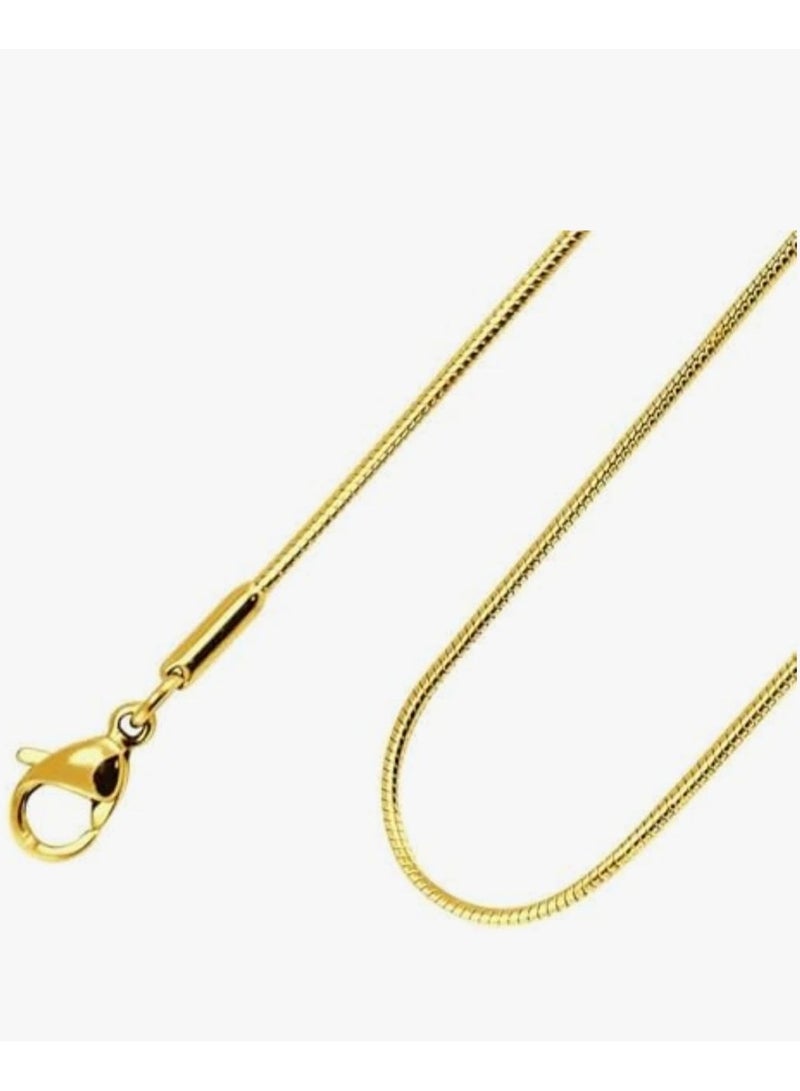 Luxuria opment Chain for Men18K Gold Plated Stainless Steel Thin Snake Chain Necklace for Men and Women Fashion Elegant - Image 1