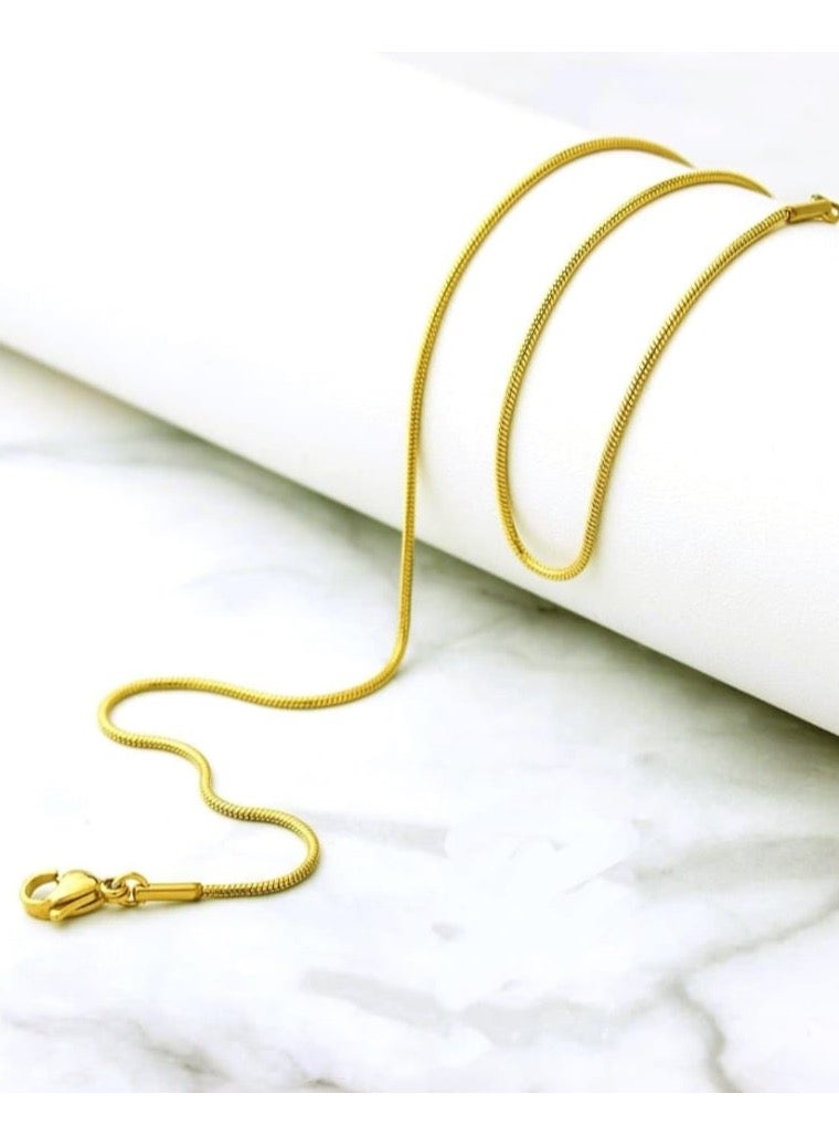 Luxuria opment Chain for Men18K Gold Plated Stainless Steel Thin Snake Chain Necklace for Men and Women Fashion Elegant - Image 2