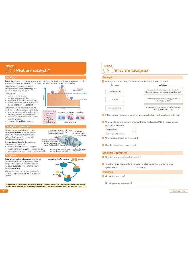 KS3 Science Year 9: Organise and retrieve your knowledge: Ideal for Year 9