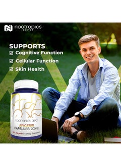 Nootropics Depot Apigenin Capsules ; 200Mg ; 30 Count ; >98% Apigenin ; Supports Healthy Stress Levels  - Image 5