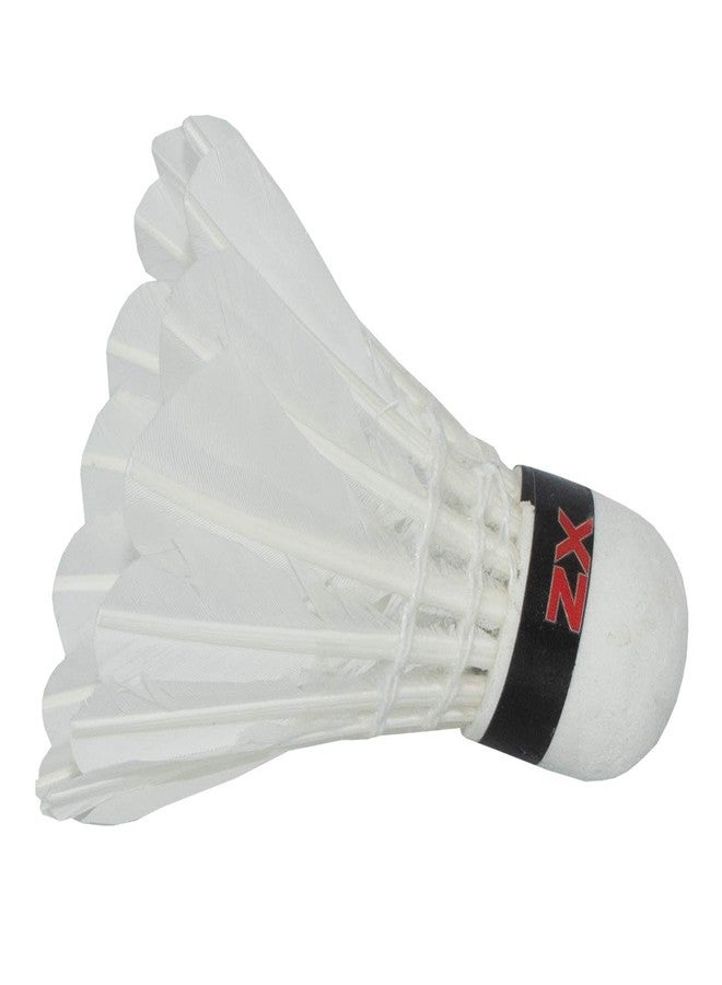 ترايامف مضرب تنس الريشة من تريومف، وكرة ريشة، ومضرب تريومف باشون قطعة واحدة مع 10 كرات ريشة تريومف زد إكس وغطاء كامل للمضرب - Image 4