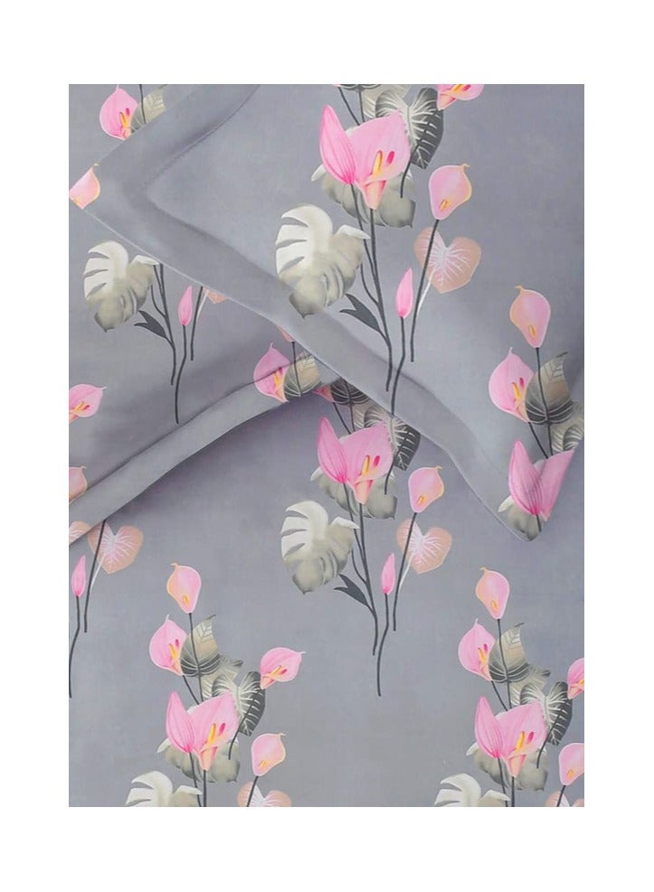 BSB HOME Premium Glace Cotton 180 TC Double Fitted Bedsheet Set  with 2 Pillow Covers 183x198 +25  Cms – Gray - Image 2