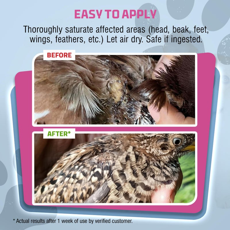 PetSilver Chicken Wound Spray for Chickens & Birds - Patented Silver Solution - Silver Spray for Wounds, Pecking Sores, Bumblefoot, Cuts, Burns, & Skin Irritations - Chicken Care - USA Made - 12 fl oz - Image 3