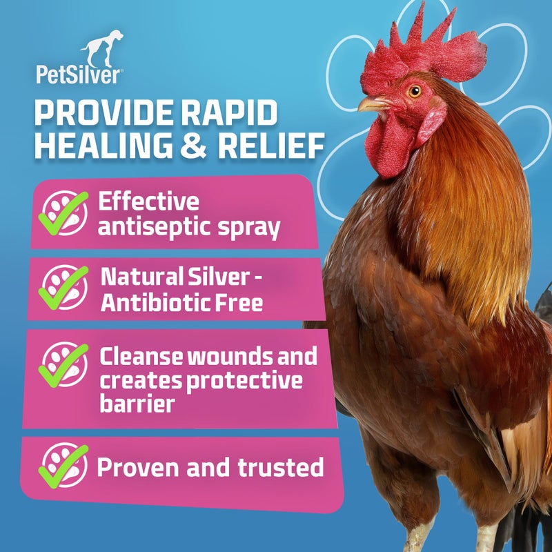 PetSilver Chicken Wound Spray for Chickens & Birds - Patented Silver Solution - Silver Spray for Wounds, Pecking Sores, Bumblefoot, Cuts, Burns, & Skin Irritations - Chicken Care - USA Made - 12 fl oz - Image 2