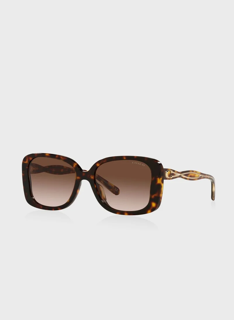 COACH 0Hc8334U Oversized Sunglasses