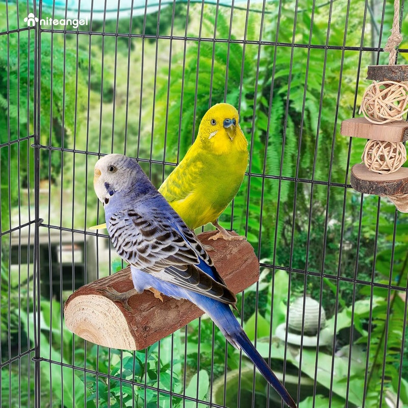 Niteangel Parrot Cage Perch, Wooden Platform for Birds (2 Packs) - Image 5