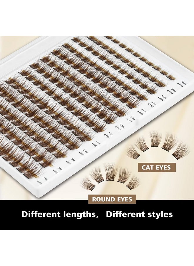 Brown Lash Clusters, 156Pcs Individual Lashes Natural Brown Cluster Lashes Extensions 8-16Mm Mix Lengths C Curl 0.07Mm Thickness Eyelash Clusters And Apply Under Your Lashes(Brown) - pzsku/Z91EAF381F205009E6A6DZ/45/_/1733729715/31ded1a1-2eda-4453-a018-64663974dbcc