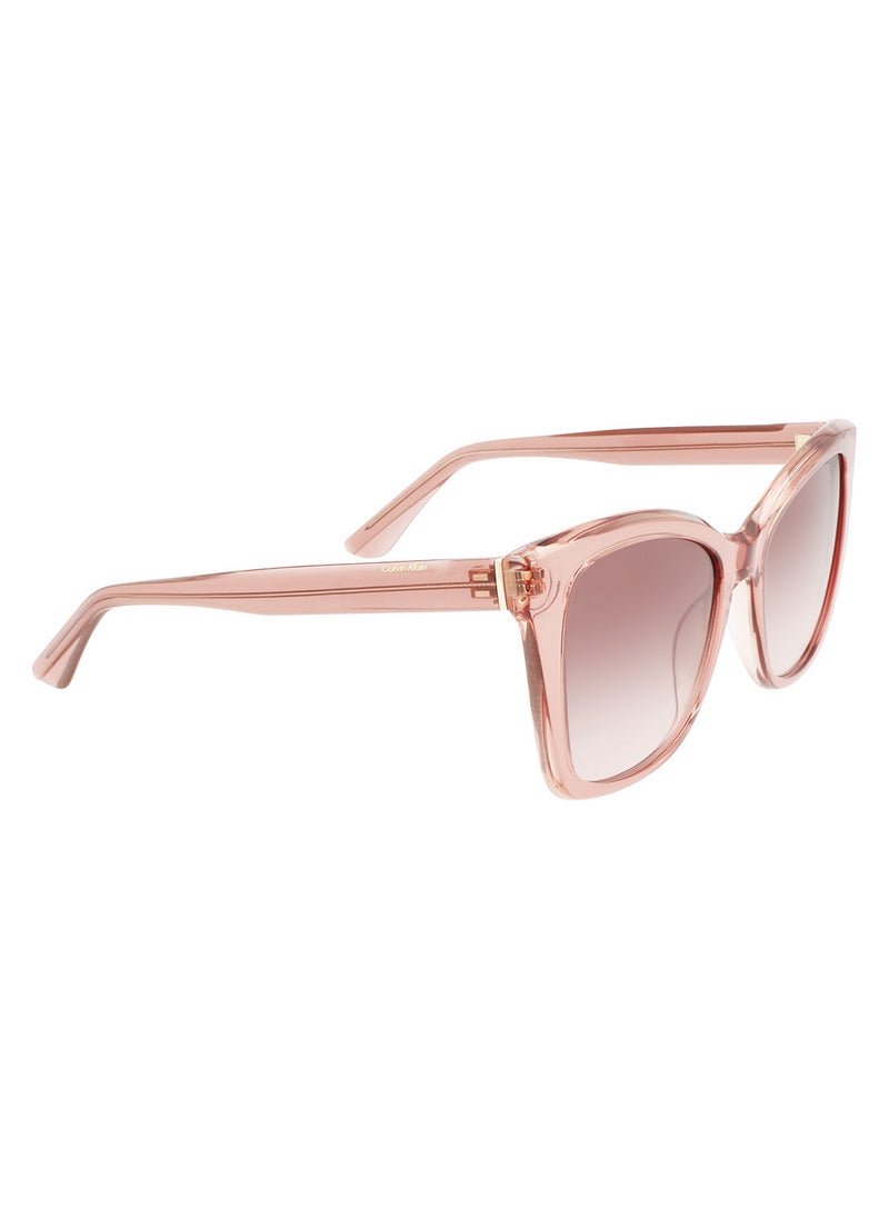 CALVIN KLEIN Full Rim Acetate Butterfly Calvin Klein Sun Ck22530S 5319 (601) Rose  - Image 2