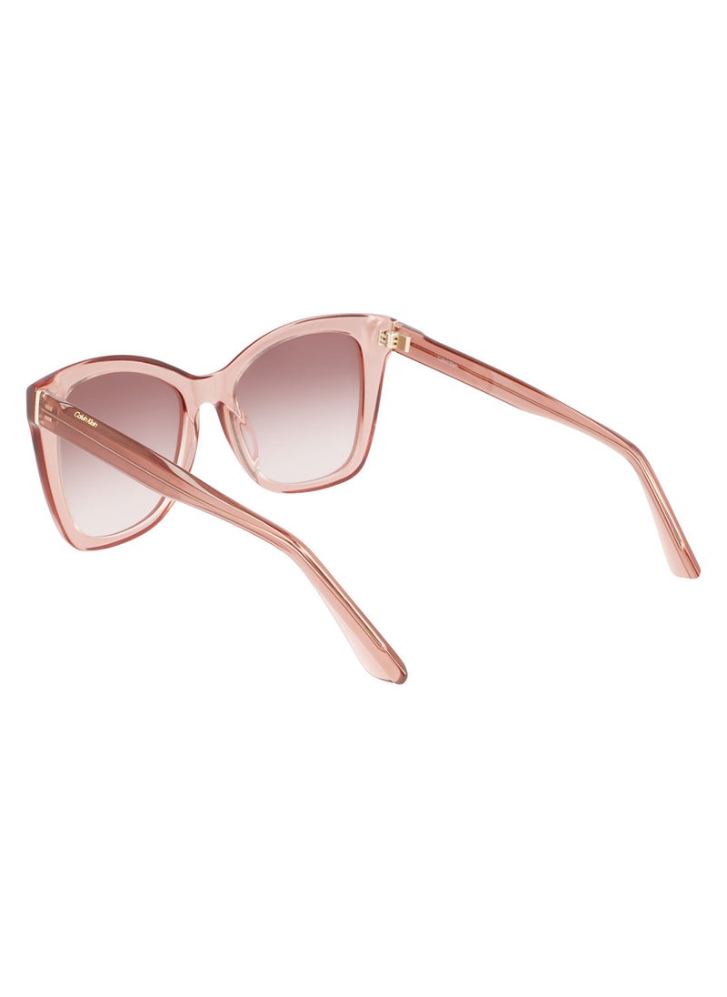 CALVIN KLEIN Full Rim Acetate Butterfly Calvin Klein Sun Ck22530S 5319 (601) Rose  - Image 3