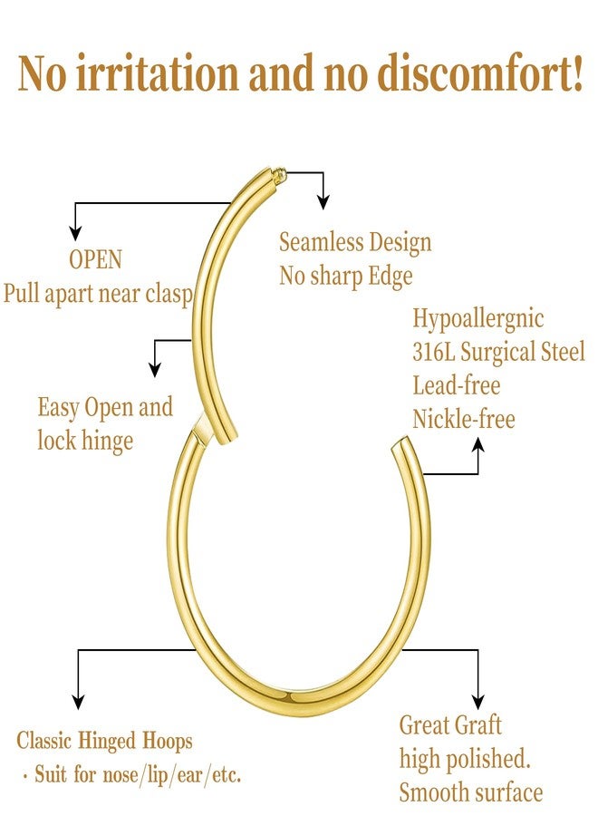 Poxtex 18g Nose Rings Piercings for Women Men Septum Clicker Ring Helix Piercing Jewelry Conch Hypoallergenic Dainty Hoop Earring Pack - Image 2