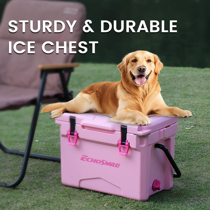 EchoSmile 12 Quart Rotomolded Cooler, Portable Hard Ice Chest, Suit for BBQ, Camping, Pincnic - Image 3