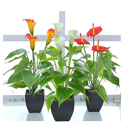 Beebel Artificial Flower Calla Lily Faux Small Potted Plant with Black Pot Fake Bonsai Flower for Home, Office, Indoor and Outdoor Occasions Decor (Red Fake Flower) - Image 5