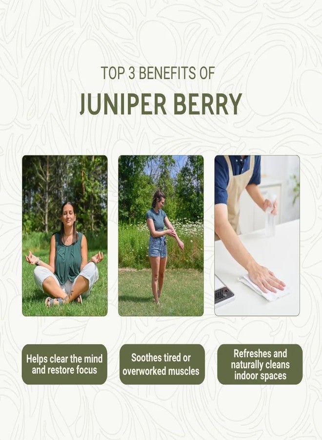 Nature Packaged Juniper Berry Essential Oil with Cleansing & Uplifting Properties - 100% Pure Therapeutic Grade Juniper Essential Oil (Aceite Esencial de Enebro) for Aromatherapy, & Relaxation - 5mL - Image 2