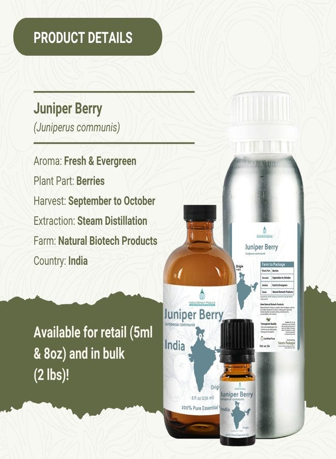 Nature Packaged Juniper Berry Essential Oil with Cleansing & Uplifting Properties - 100% Pure Therapeutic Grade Juniper Essential Oil (Aceite Esencial de Enebro) for Aromatherapy, & Relaxation - 5mL - Image 5
