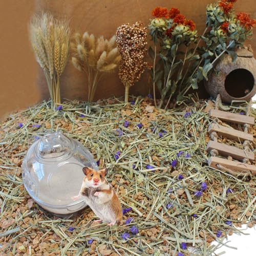 JFWOD Hamster Bath Sand, 7.7lb Dust Free Desert Sand or Potty Litter Sand for Hamster Chinchillas Gerbil Syrian Mice Small Animals(Beige) - Image 4