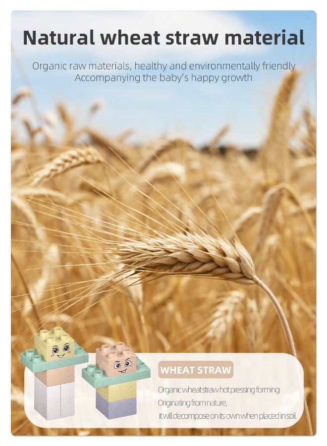 Loquat DIY Large Particle Straw Building Blocks - Elegant Parent-Child Assembly Educational Toy for Intellectual Development - Image 2