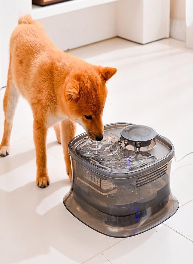 Olpad Dog Water Dispenser cat water fountain Dispencer Pet Fountain Pet Water Feeder dog Feeding Water Bowl 5L water bowl Cat Drinking USB powered dog bowl dog feeding water fountain feeder dispenser - Image 1