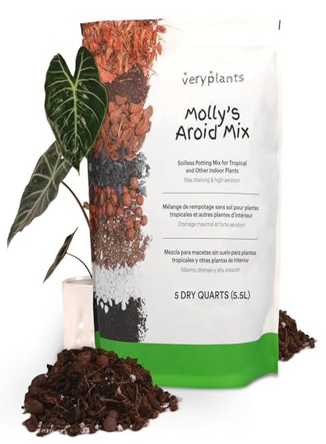 veryplants Molly's Aroid Mix - Premium Soilless Potting Mix for Houseplants - Fast Draining, Chunky & Easier to Water vs. Soil for Indoor Plants - with Bark, Coco Chips, Worm Castings, Mycorrhizae 3 Dry Quarts - Image 1