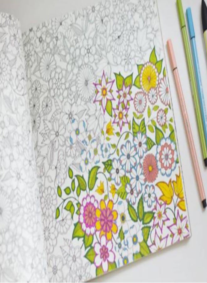 Secret Garden An Inky Treasure Hunt And Coloring Book 18.5cm - Image 3