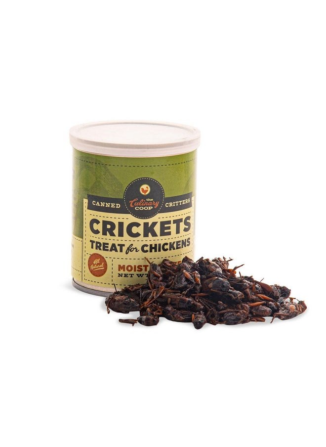 Fluker's - Fluker's Culinary Coop Canned Crickets Chicken Treat, All Natural and Packed with Protein, 2.75 oz - Image 1