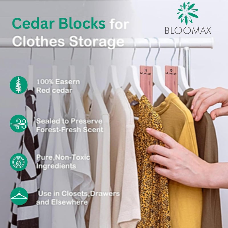 BLOOMAX 20 Pcs Cedar Block Planks with Hanging Chrome Hooks for Moth Repellent Cedar Blocks for Clothes Storage Better Than Moth Balls for Closet Cedar Hangers Clothes Moths Pack of 20 - Image 3