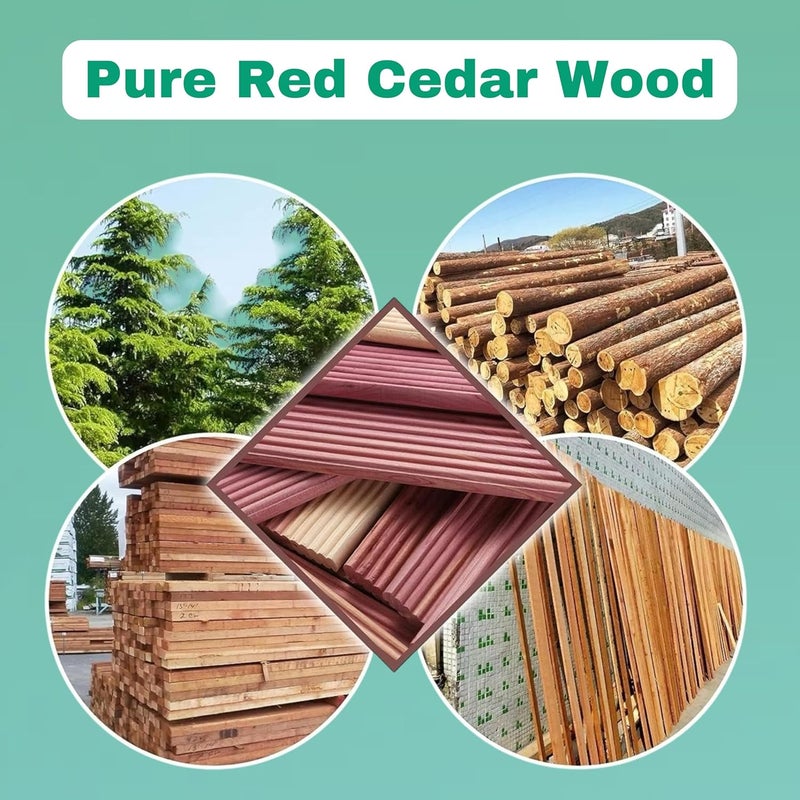 BLOOMAX 20 Pcs Cedar Block Planks with Hanging Chrome Hooks for Moth Repellent Cedar Blocks for Clothes Storage Better Than Moth Balls for Closet Cedar Hangers Clothes Moths Pack of 20 - Image 5