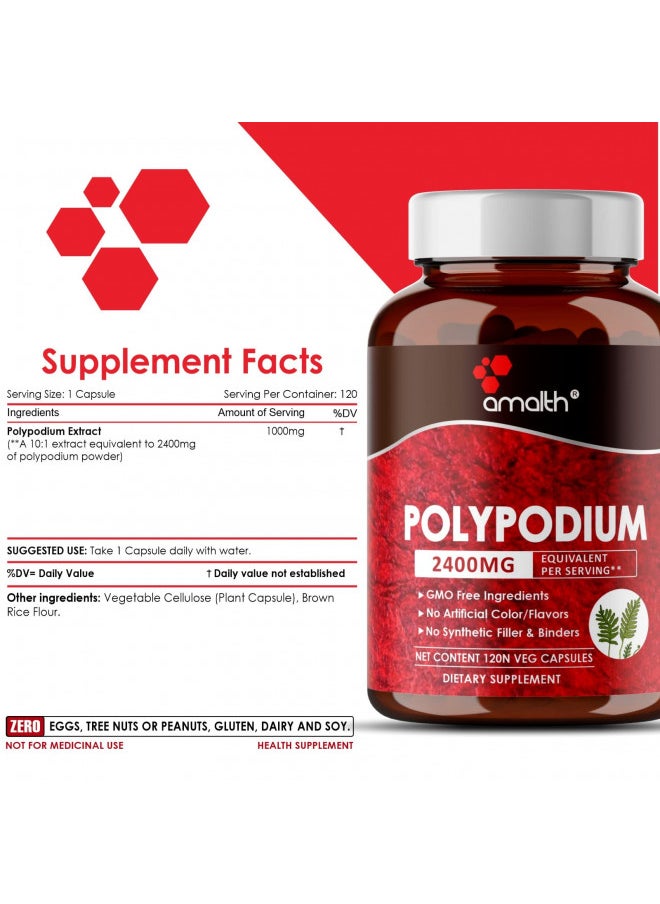 AMALTH - AMALTH Polypodium Leucotomos Extract 2400mg Per Day Supports Natural Healthy Skin -Antioxidant Supplements -120 Capsules (Vegetarian, Non-GMO & Gluten Free) - Image 1