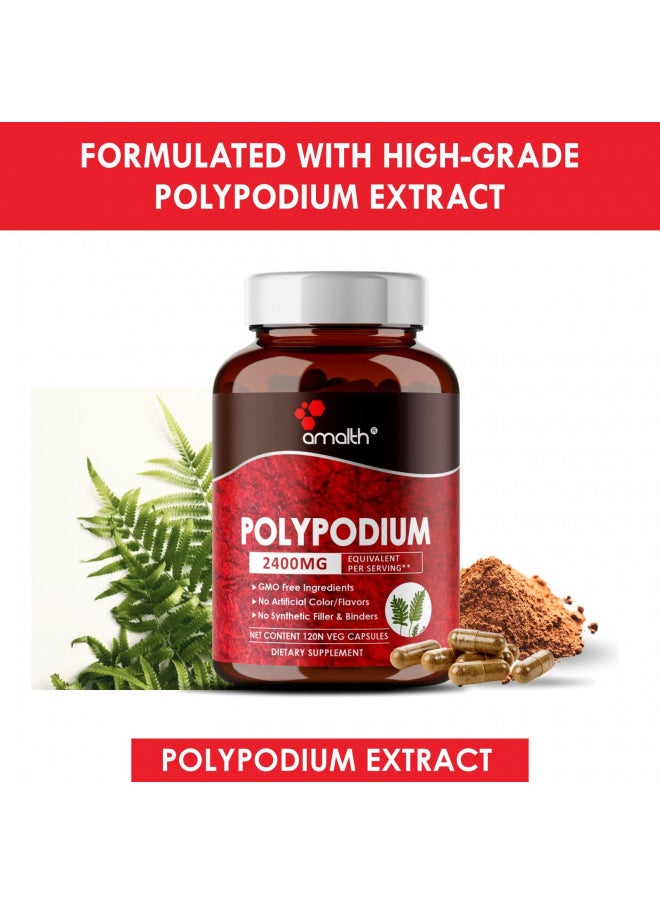AMALTH - AMALTH Polypodium Leucotomos Extract 2400mg Per Day Supports Natural Healthy Skin -Antioxidant Supplements -120 Capsules (Vegetarian, Non-GMO & Gluten Free) - Image 1