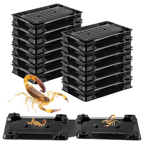 Qualirey فخاخ لاصقة لجراد البحر كوالي راي 12 - Image 1