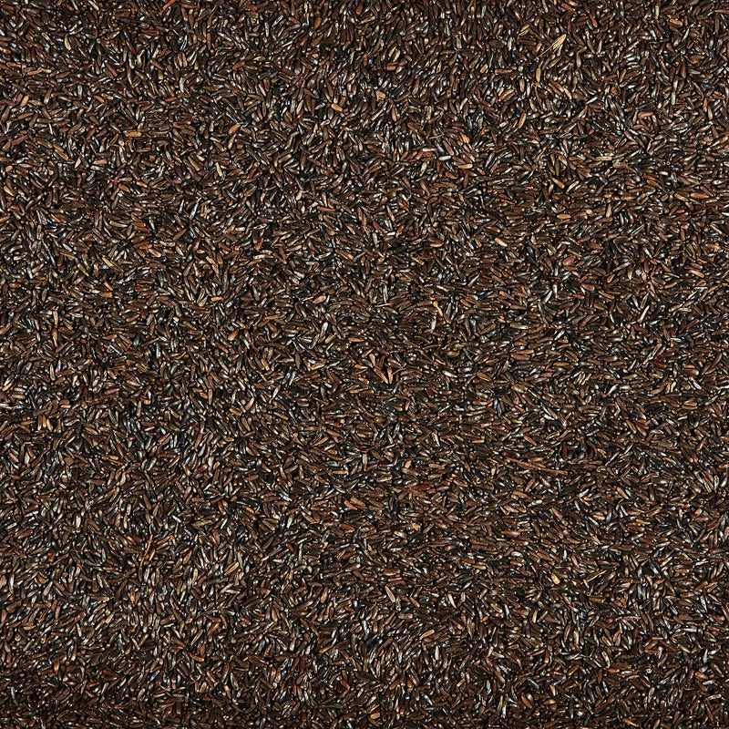 Kaytee Nyjer Wild Bird Food Seed, 3 Pound - Image 4