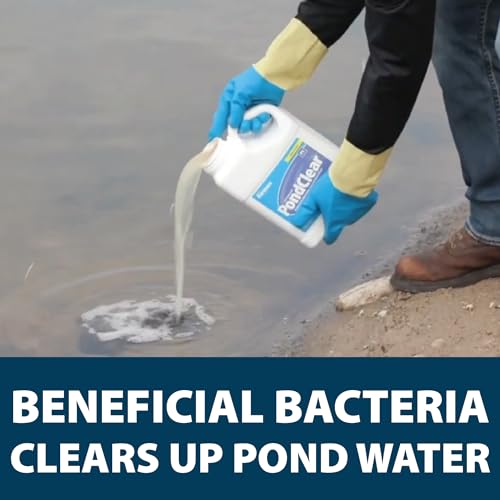 Airmax PondClear Liquid Bacteria for Lakes, Ponds & Water Garden Treatments, Natural Bio Clarifier & Cleaner for Crystal Clear Water, Remove Nutrients & Noxious Odor, Fish, Pet & Plant Safe, 1 Gallon - Image 3