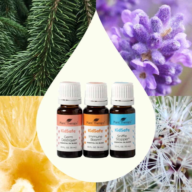 Plant Therapy مجموعة زيوت عطرية طبيعية للأطفال من بلانت ثيرابي - شعور جيد، تشمل: مدمر الجراثيم، تعزيز المناعة، موقِف السعال 100% نقي، غير مخفف، عطر طبيعي 10 مل (1/3 أونصة) - Image 3