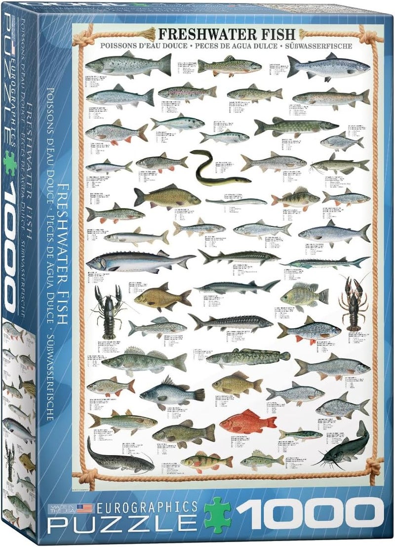EuroGraphics Freshwater Fish 1000Piece Puzzle