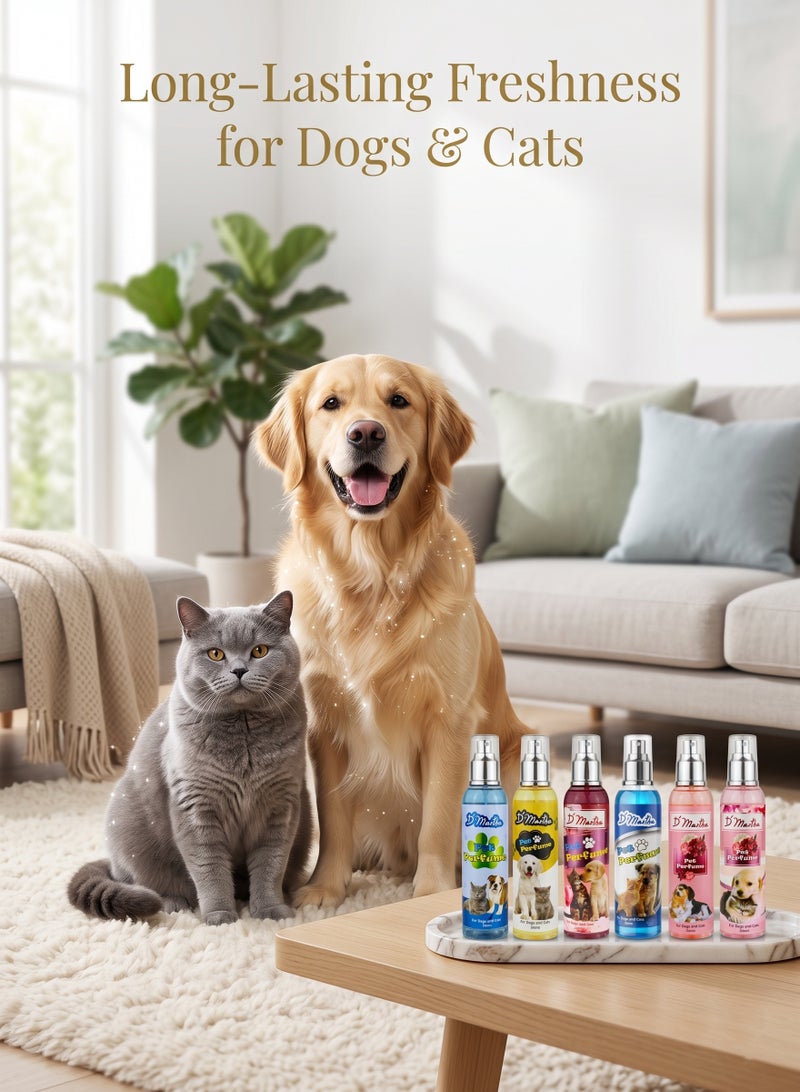 D'Martha Pet Perfume for Dogs & Cats 250ml – Long Lasting Fresh Fragrance Spray, Pet Deodorizer & Grooming Mist, Odor Eliminator Cologne for Puppies, Kittens, Dogs & Cats - Image 5