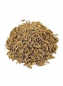 Daily Fresh Cumin Seeds 